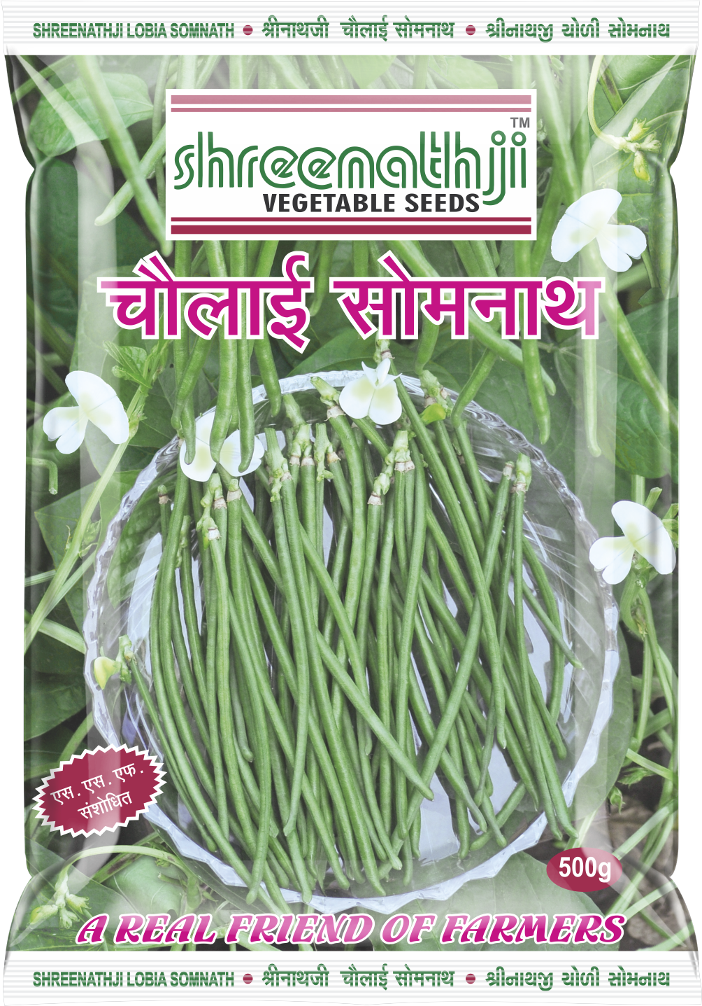 ચોળી  સોમનાથ 